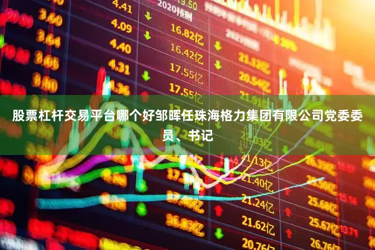 股票杠杆交易平台哪个好邹晖任珠海格力集团有限公司党委委员、书记