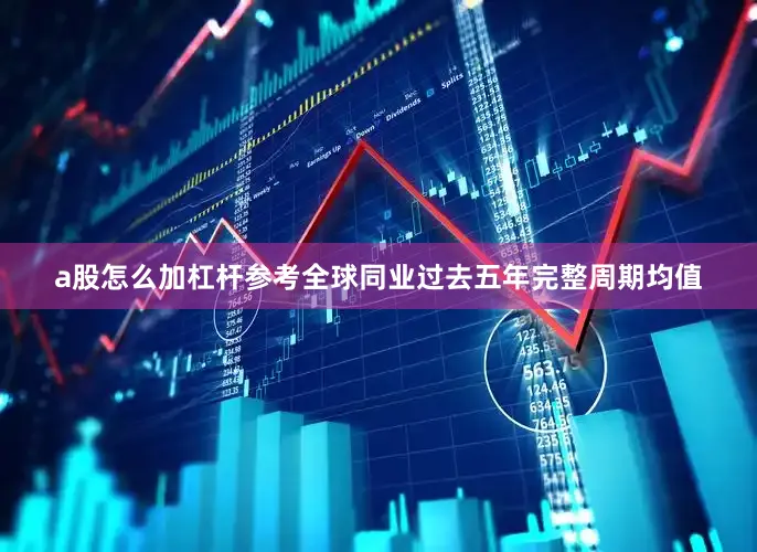 a股怎么加杠杆参考全球同业过去五年完整周期均值