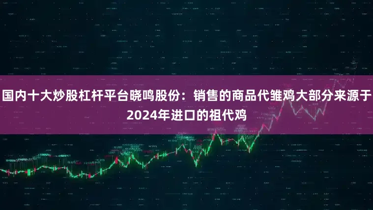 国内十大炒股杠杆平台晓鸣股份：销售的商品代雏鸡大部分来源于2024年进口的祖代鸡