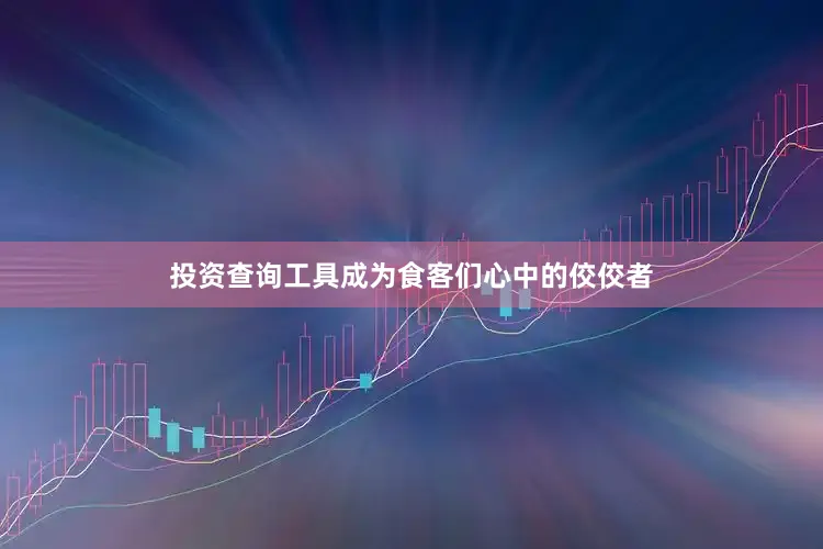 投资查询工具成为食客们心中的佼佼者