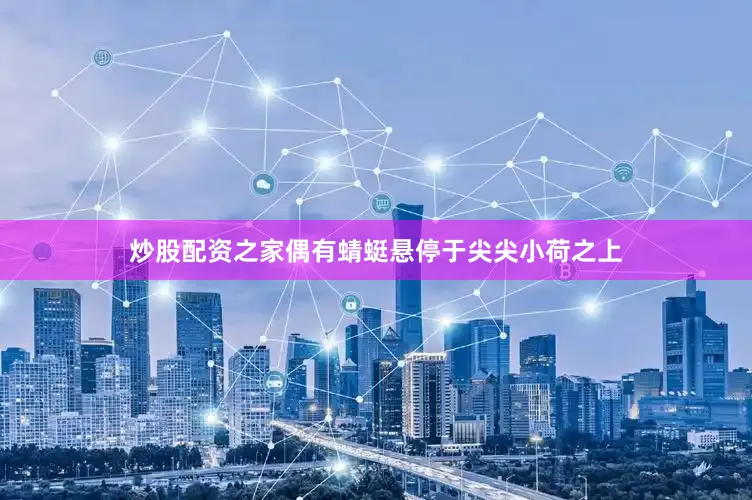 炒股配资之家偶有蜻蜓悬停于尖尖小荷之上